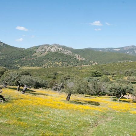 La Brizna Guest House Cañamero Екстериор снимка
