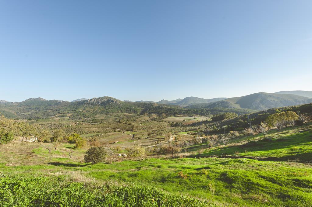 La Brizna Guest House Cañamero Екстериор снимка
