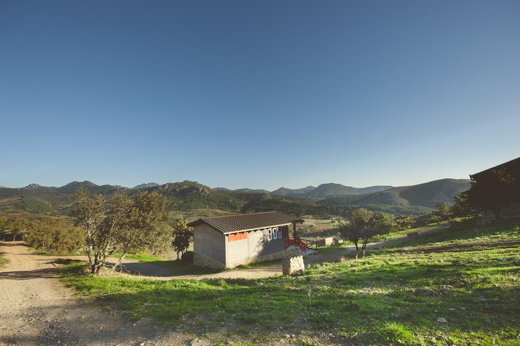 La Brizna Guest House Cañamero Екстериор снимка