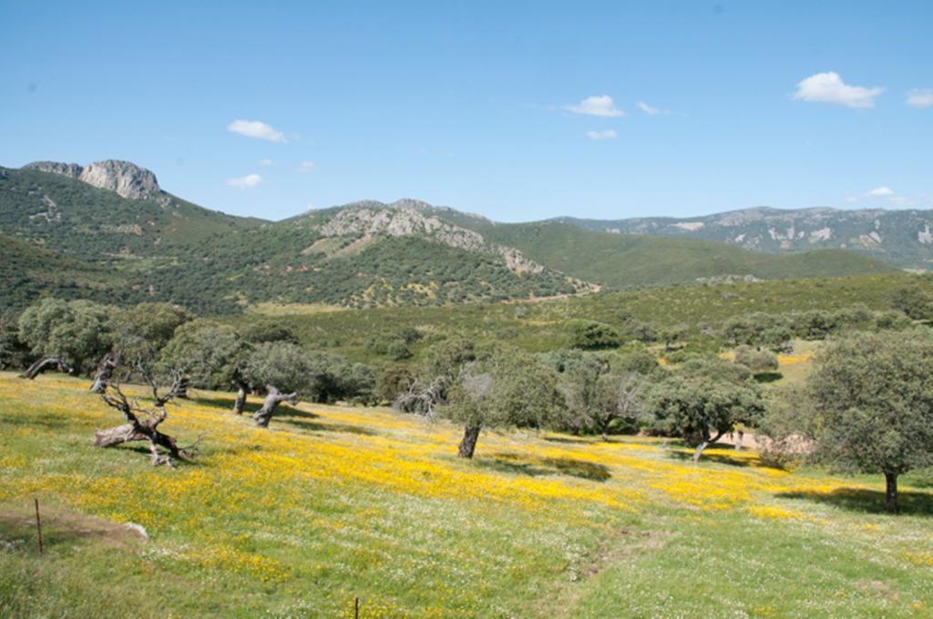 La Brizna Guest House Cañamero Екстериор снимка